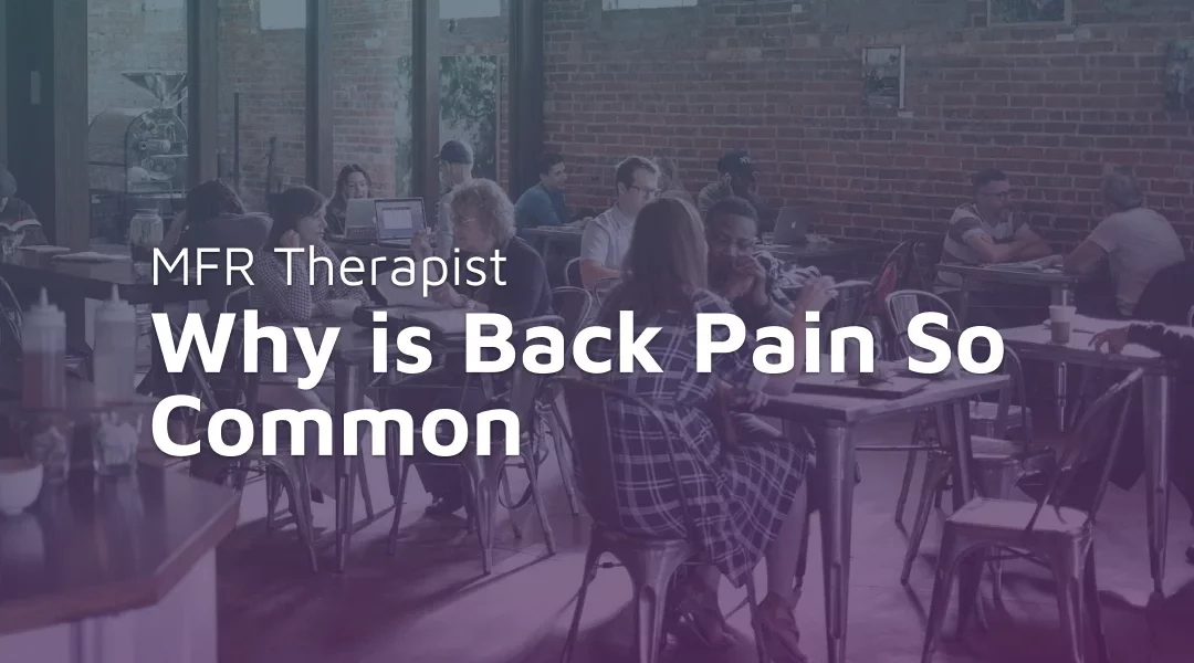 Why is Back Pain So Common