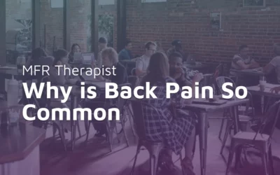 Why is Back Pain So Common